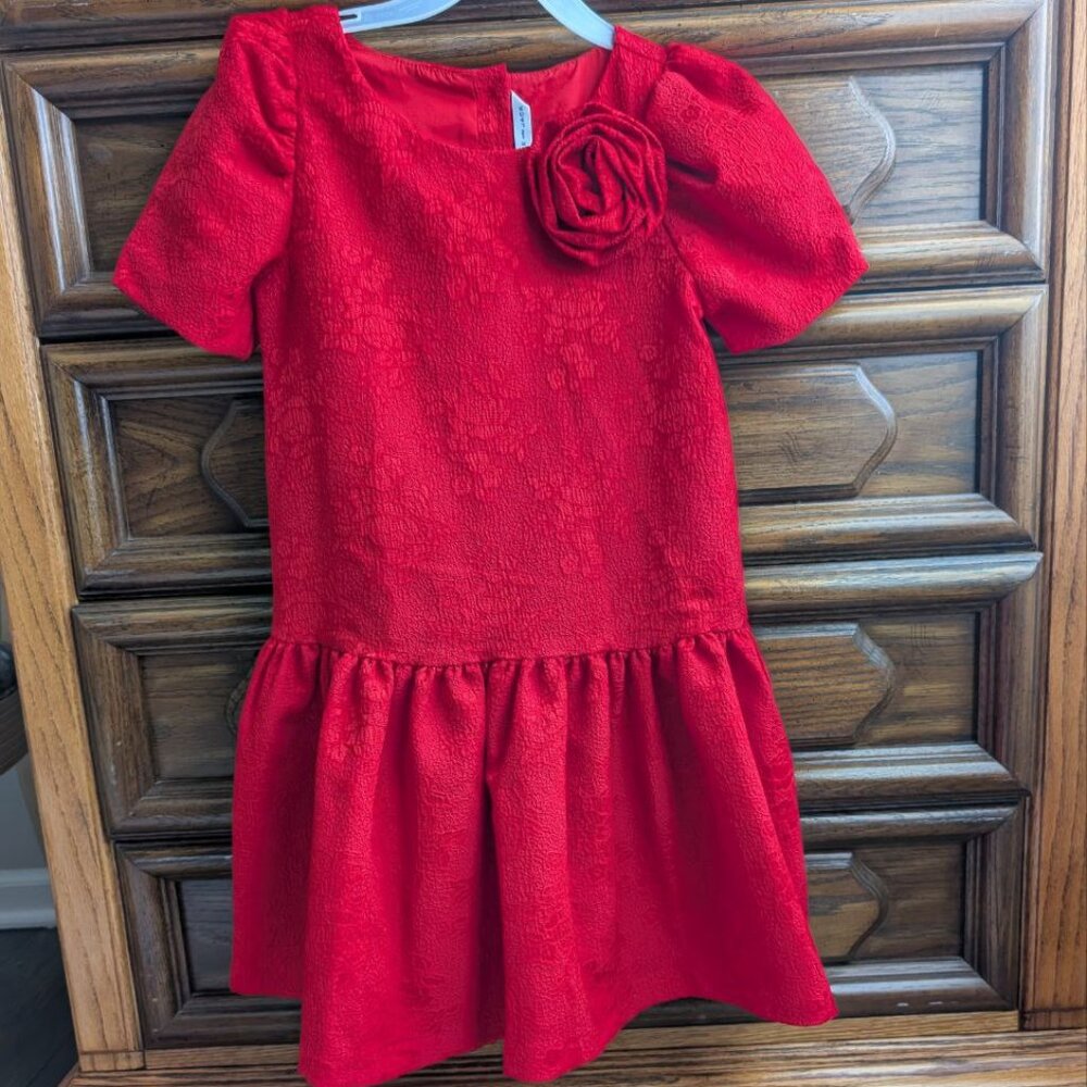 Janie and Jack Girls Rose Jacquard Dropwaist Dress Red Burgundy Size 8